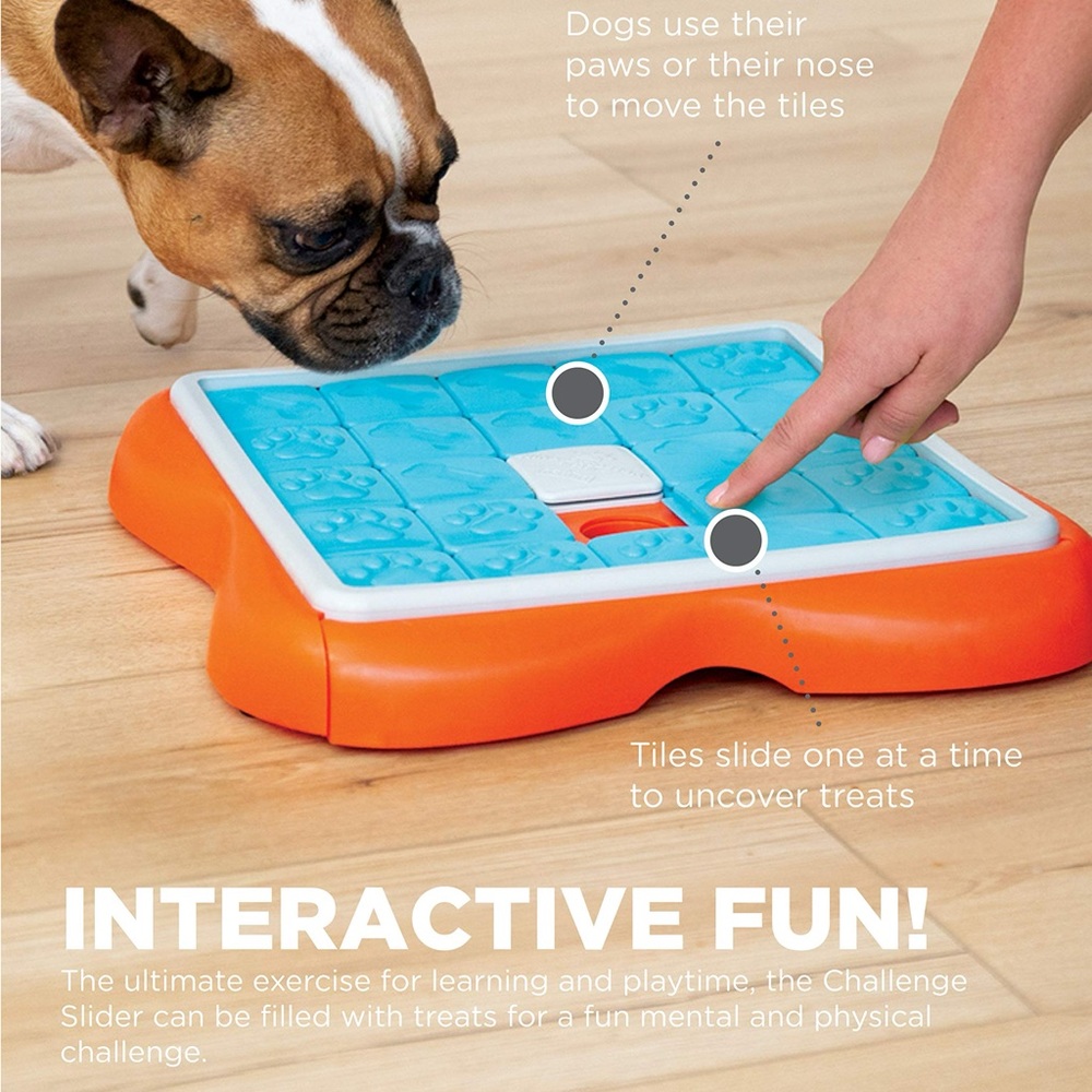 Outward Hound Dog Food Slider/Puzzle